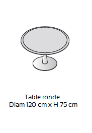 table-ronde-iulio1.png