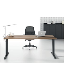 Bureau OXI T