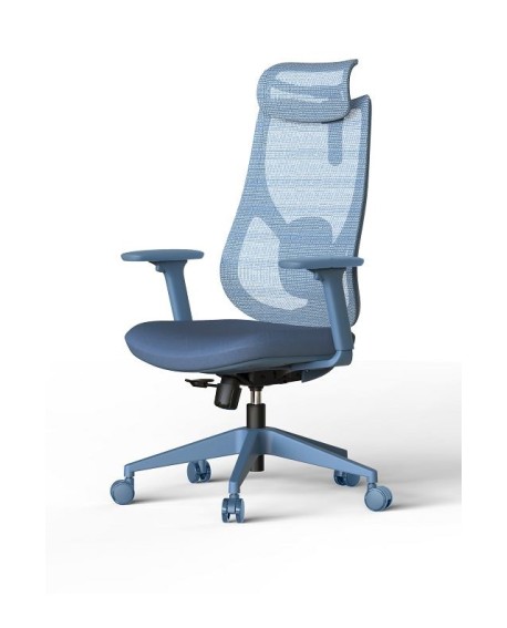 Fauteuil ergonomique Mood bleu ou vert à la Réunion 974