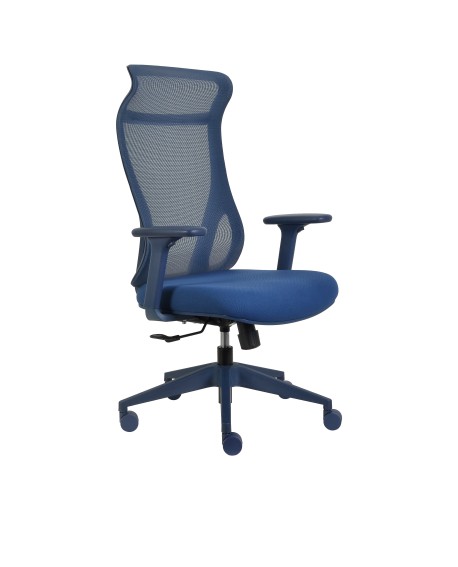 Fauteuil ergonomique Dune en bleu ou vert d'eau à La Réunion 974