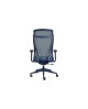 Fauteuil ergonomique Dune en bleu ou vert d'eau à La Réunion 974