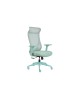 Fauteuil ergonomique Dune en bleu ou vert d'eau à La Réunion 974