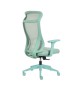 Fauteuil ergonomique Dune en bleu ou vert d'eau à La Réunion 974